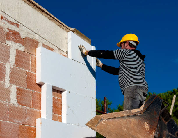Best Local Insulation Services  in Pierce City, MO