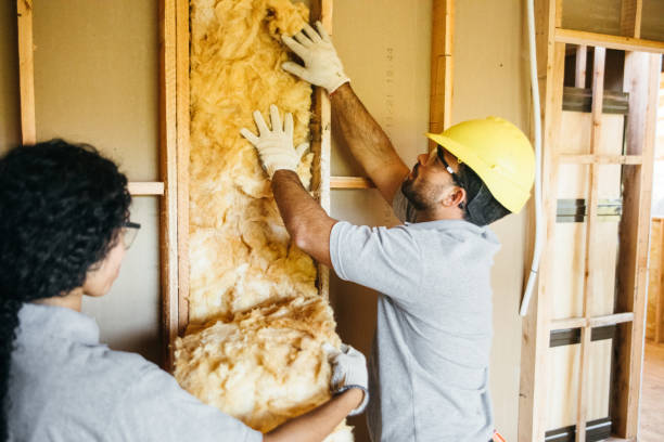 Best Local Insulation Services  in Pierce City, MO