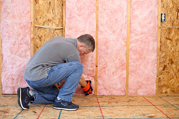 Best Insulation Contractor Near Me  in Pierce City, MO