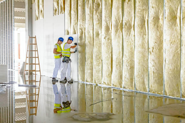 Professional Insulation Contractor in Pierce City, MO